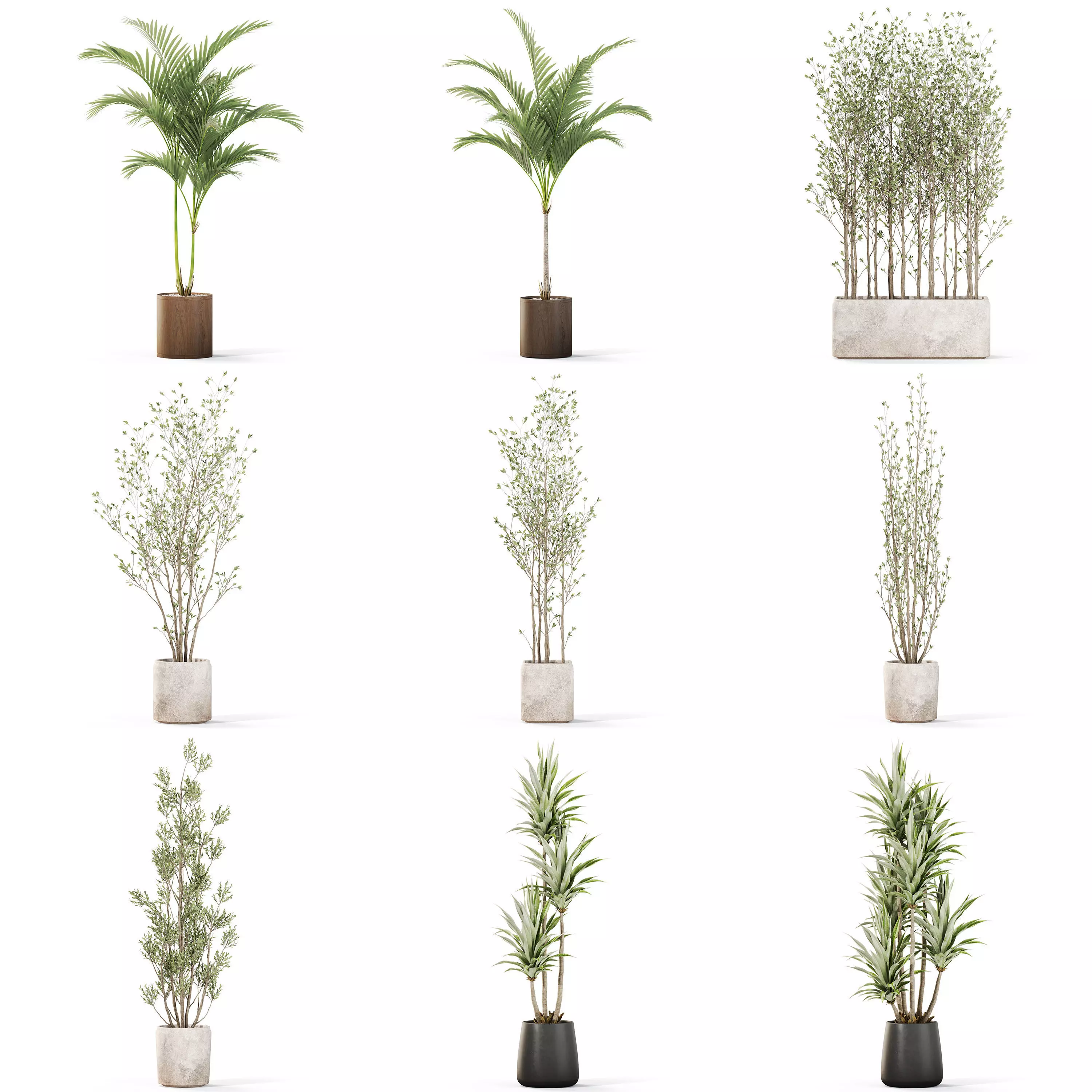 Plants collection vol 43 _0