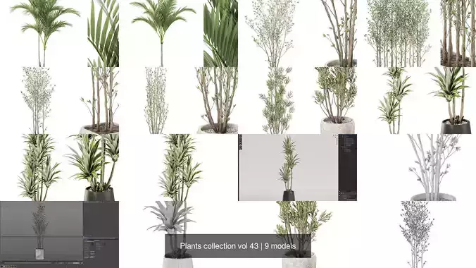 Plants collection vol 43