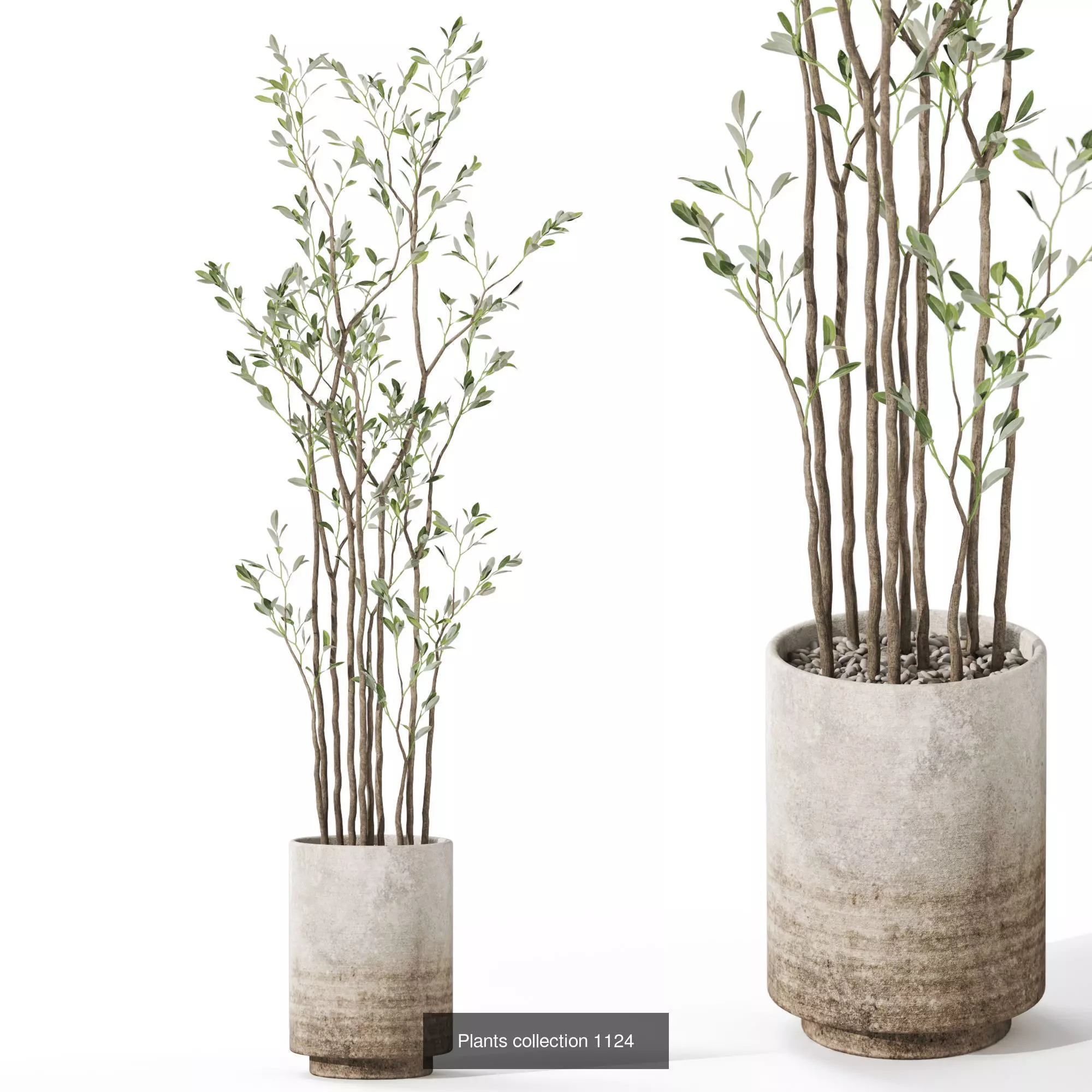 Plants collection vol 44 _8