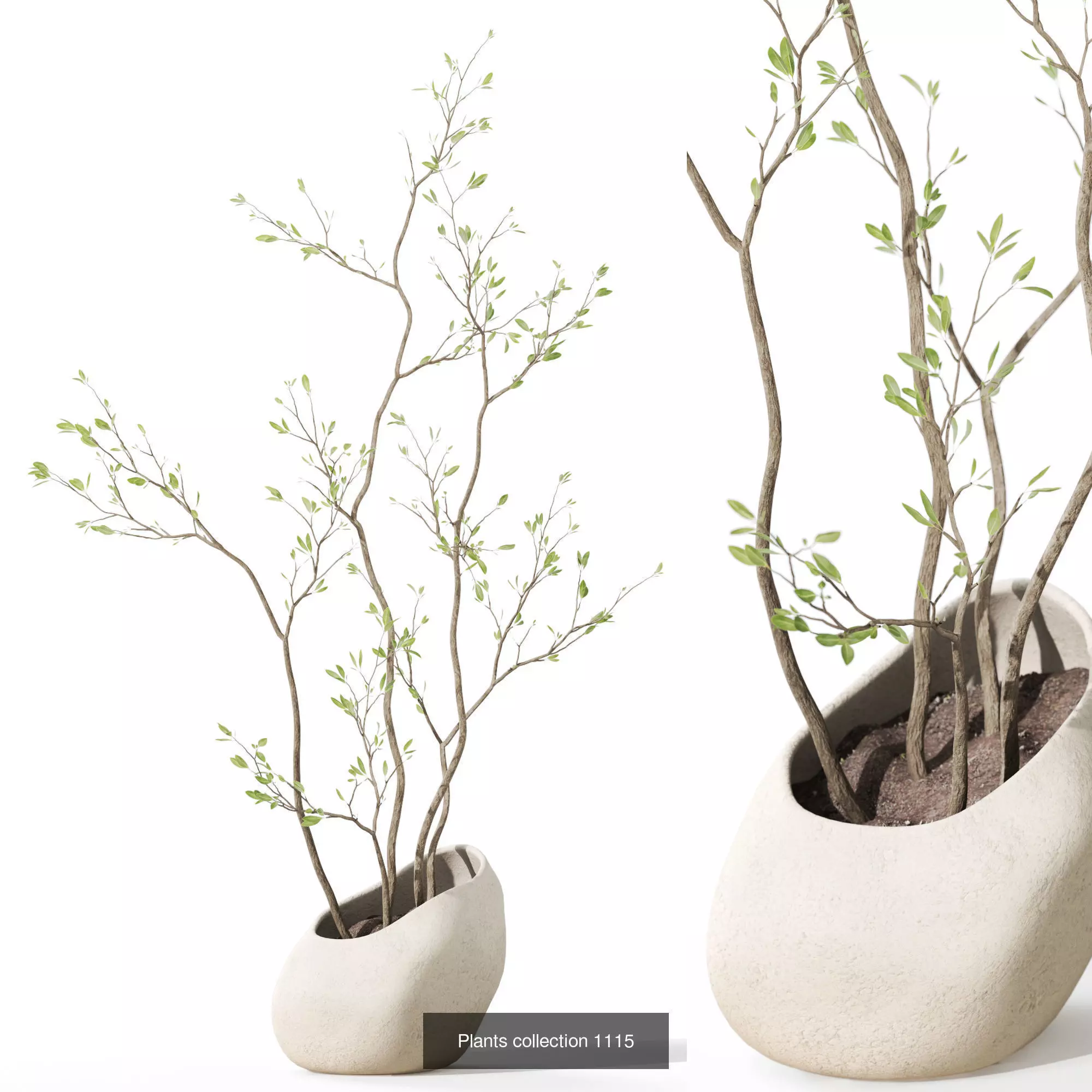 Plants collection vol 44 _4