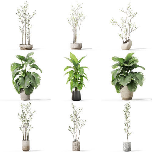 Plants collection vol 44 