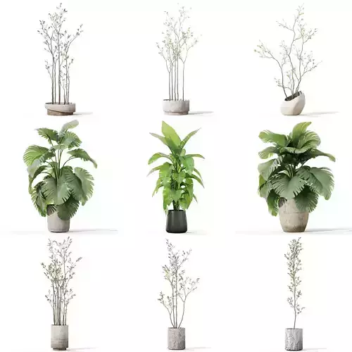 Plants collection vol 44 