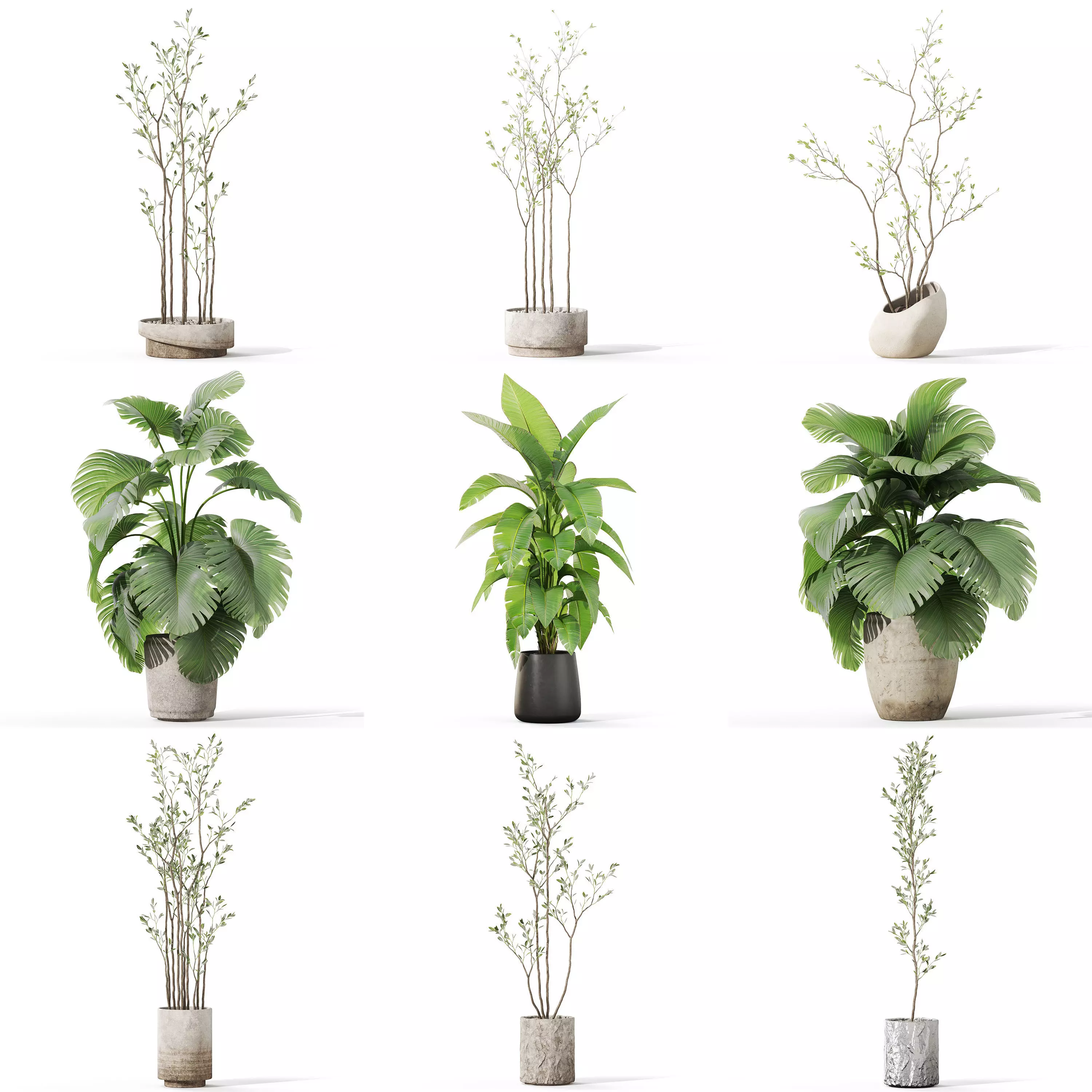 Plants collection vol 44 _0