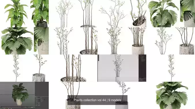 Plants collection vol 44