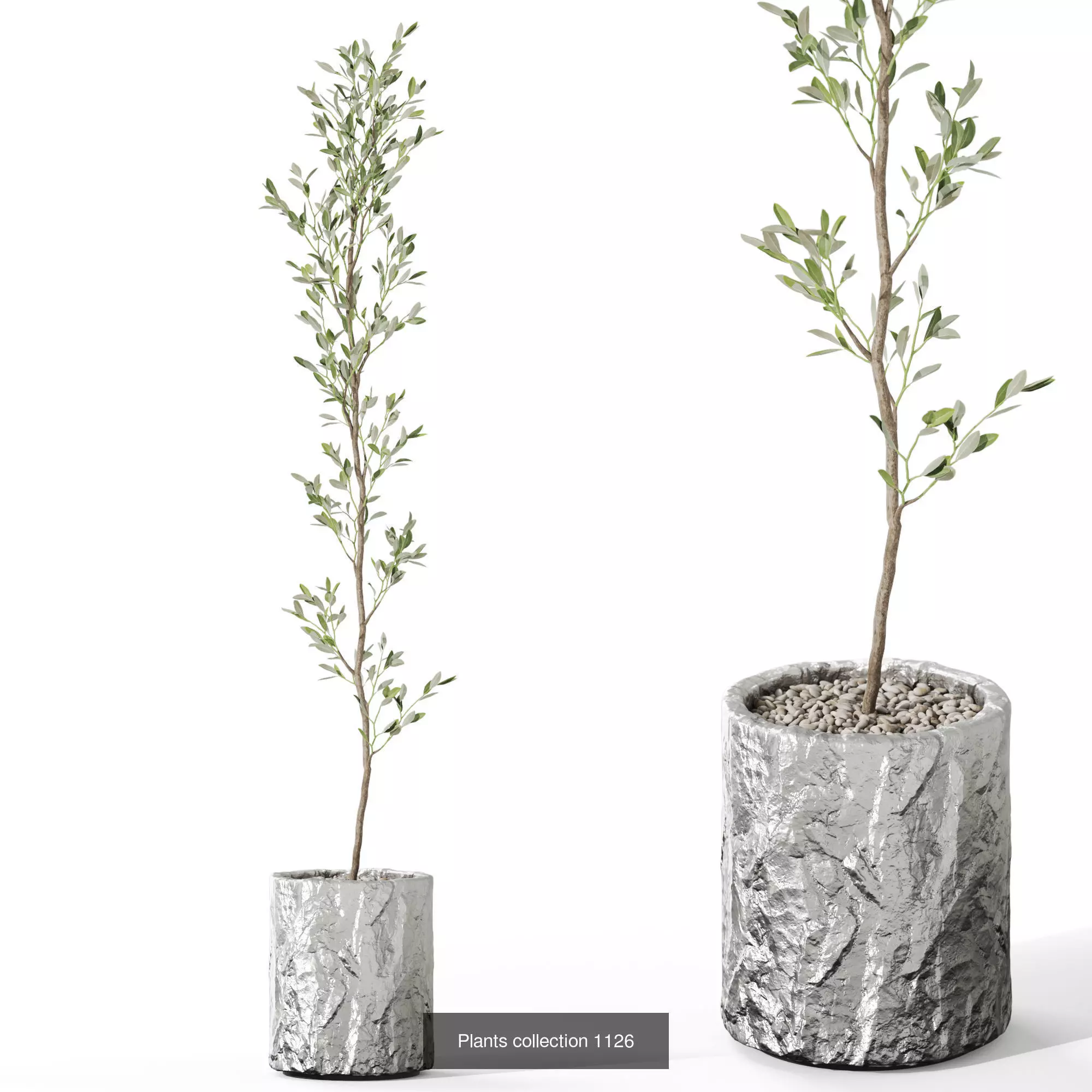 Plants collection vol 44 _10