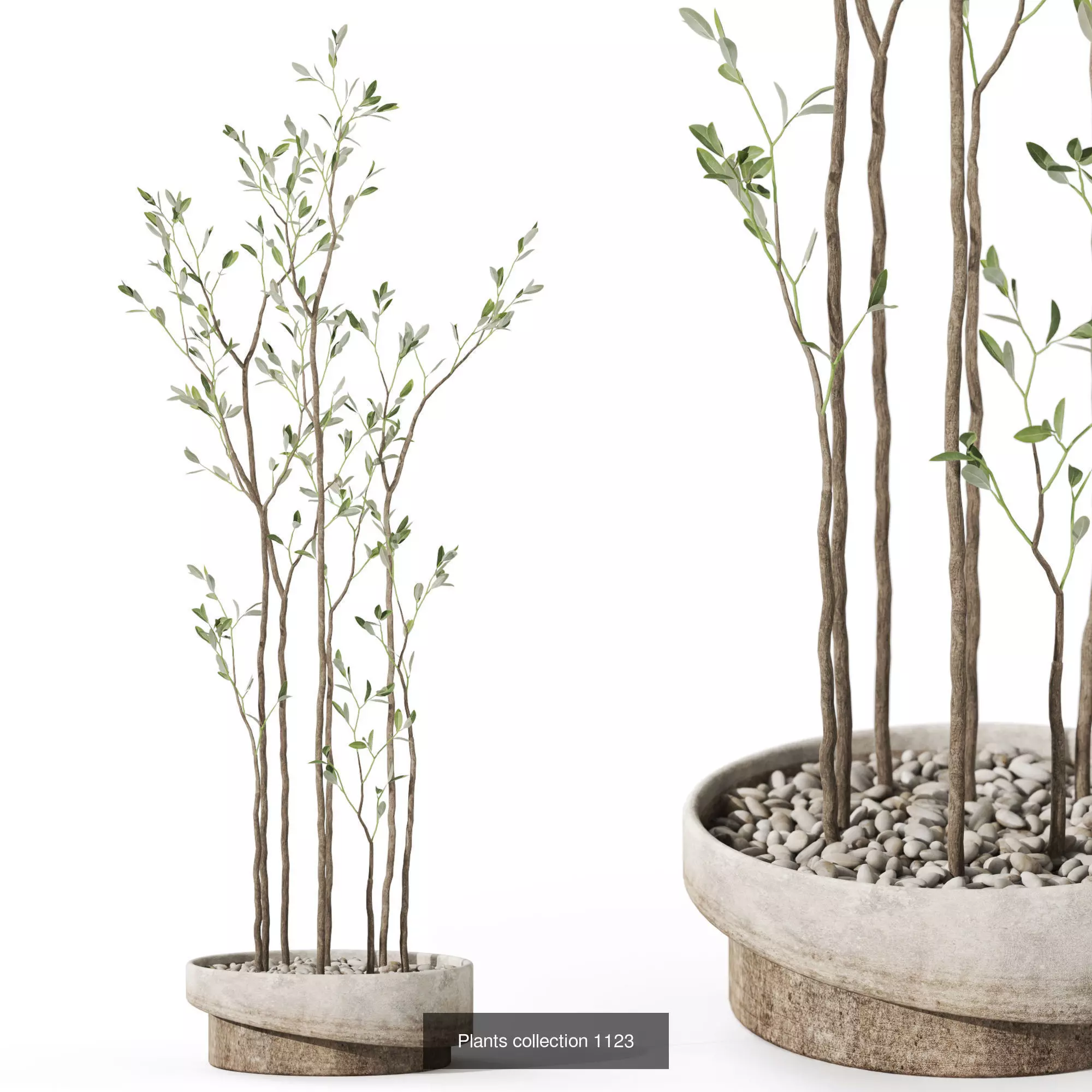 Plants collection vol 44 _7