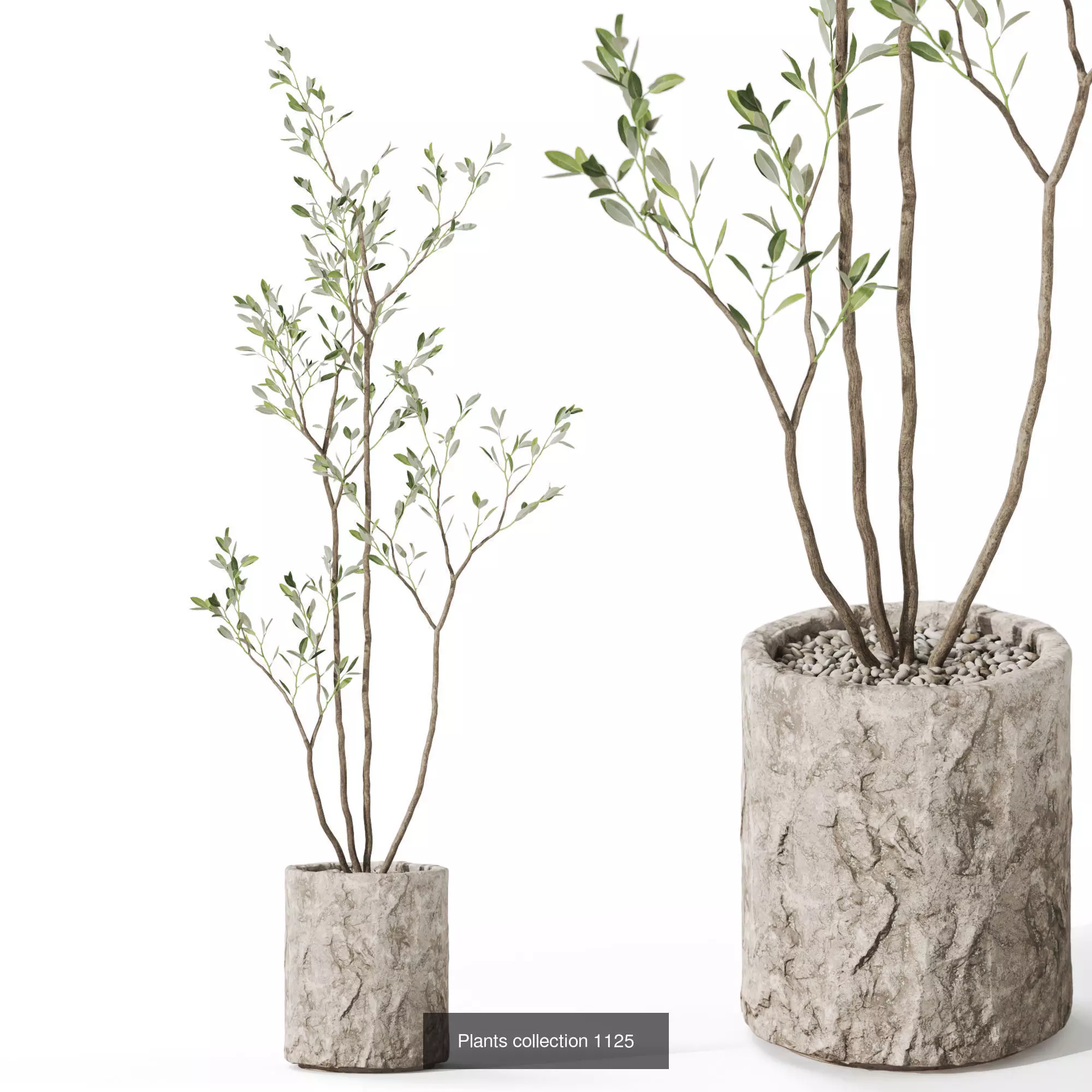 Plants collection vol 44 _9