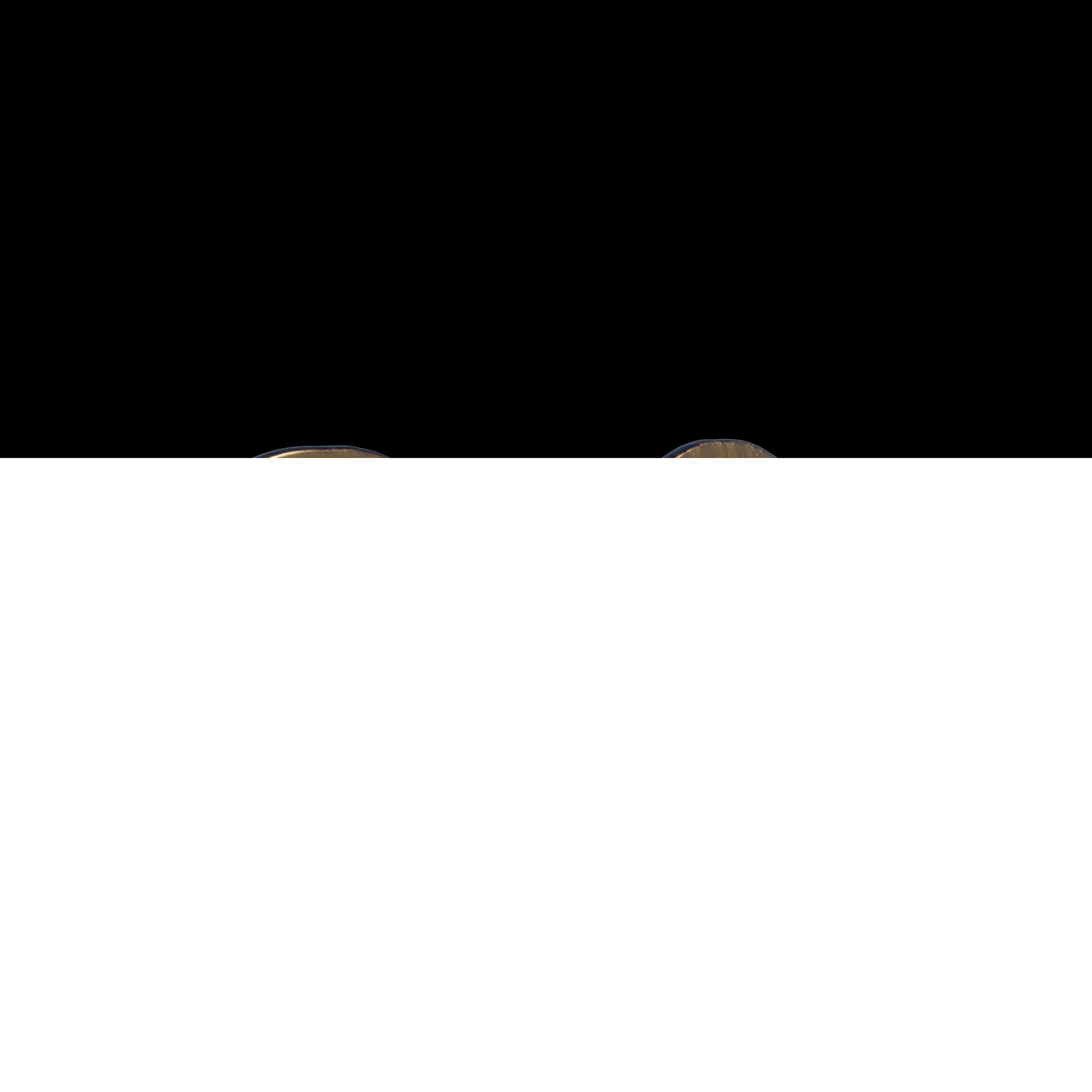 Golden Wings Logo 3D model_2