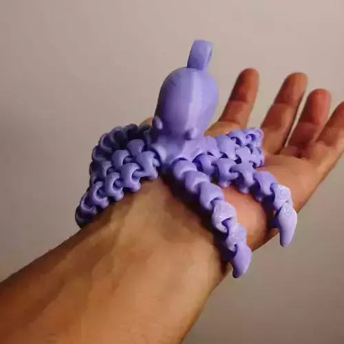 Flexi Print-in-Place octopus keychain no support articulated 