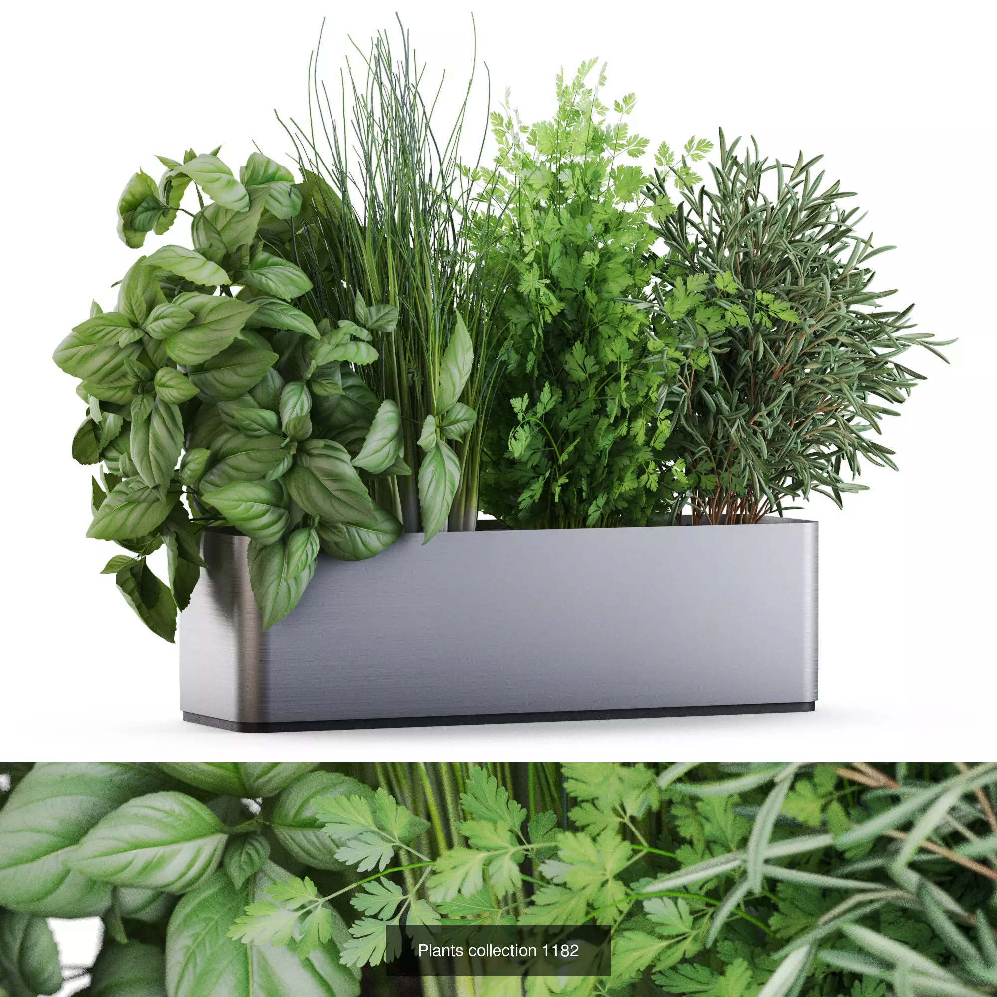 Plants collection vol 45 _8