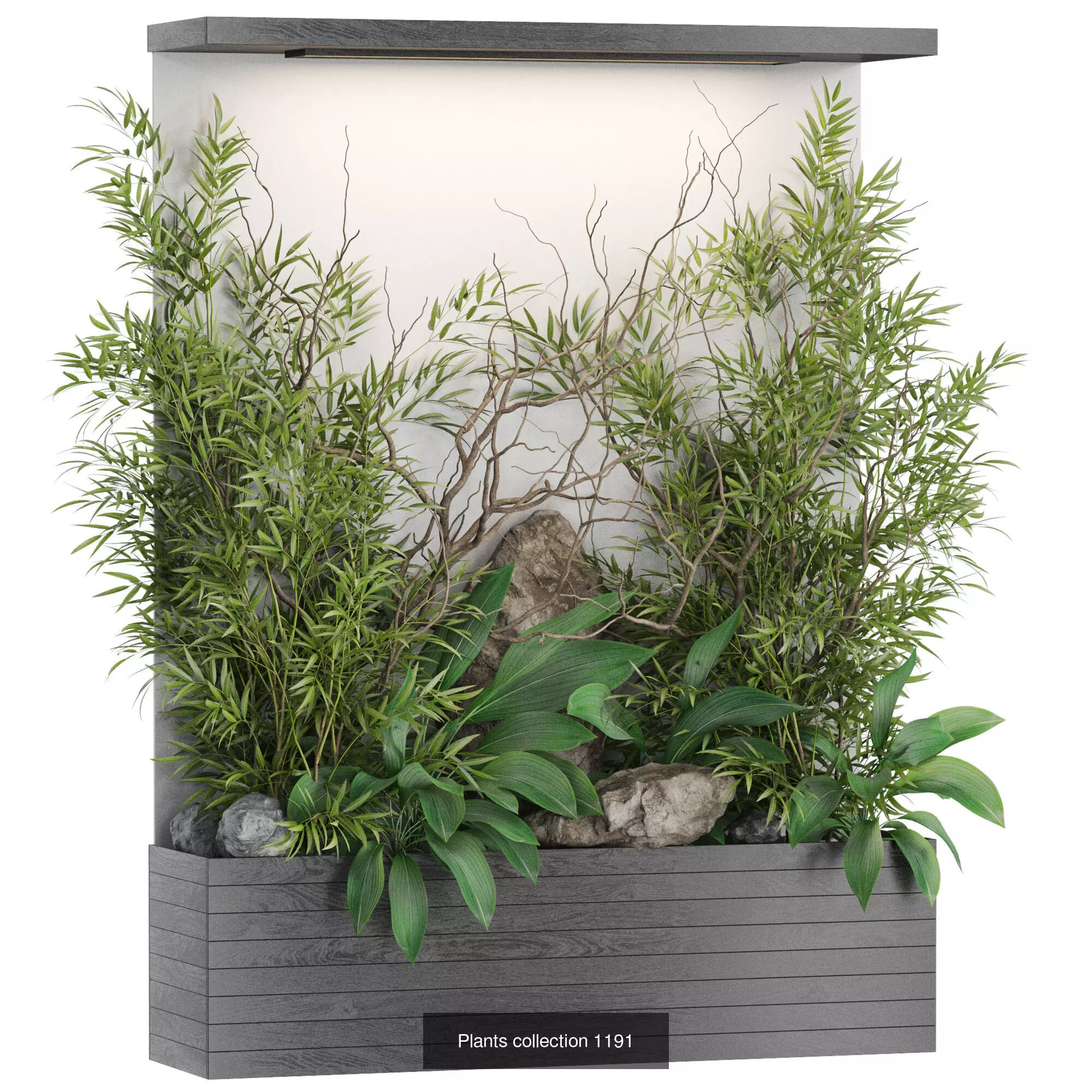 Plants collection vol 45 _10