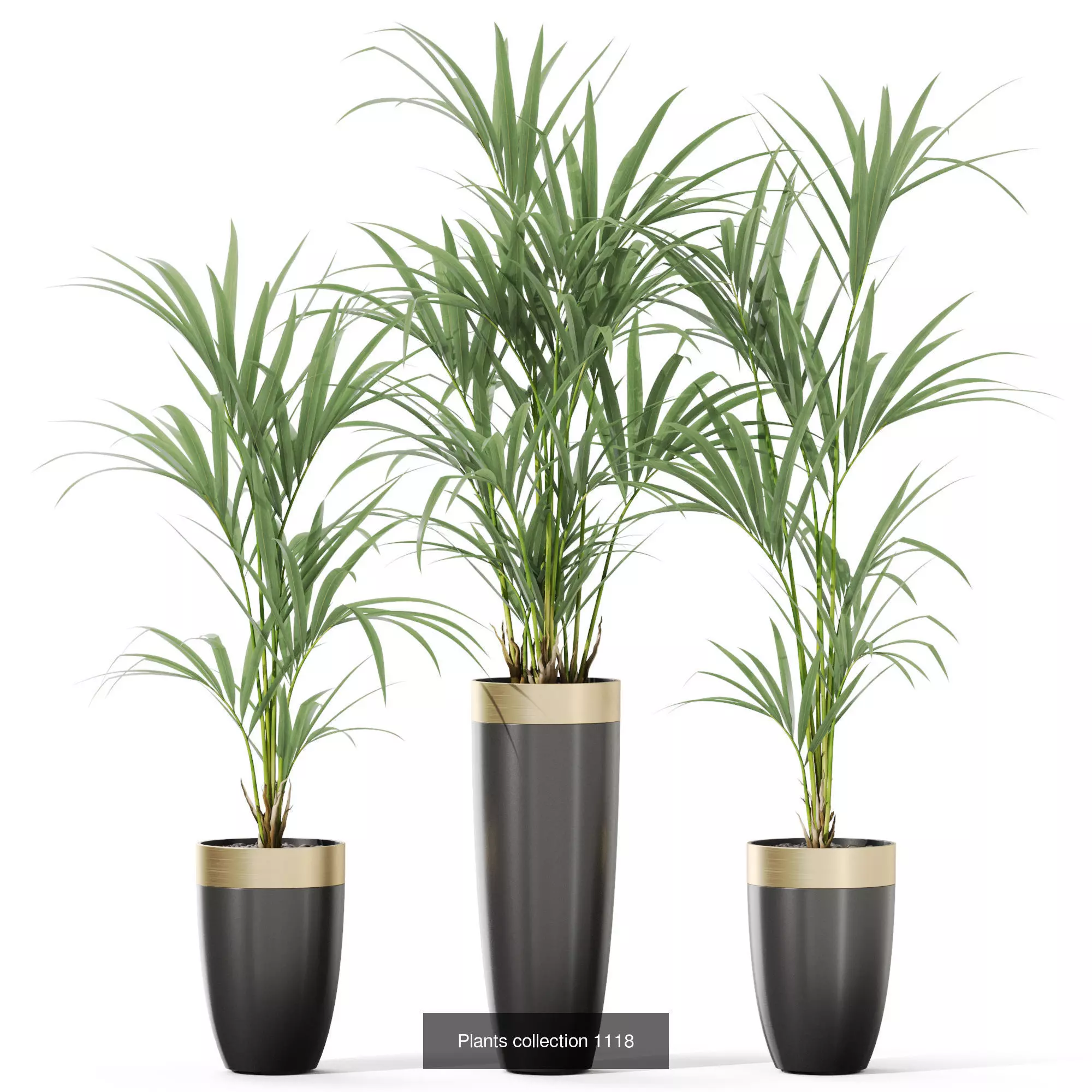 Plants collection vol 45 _5