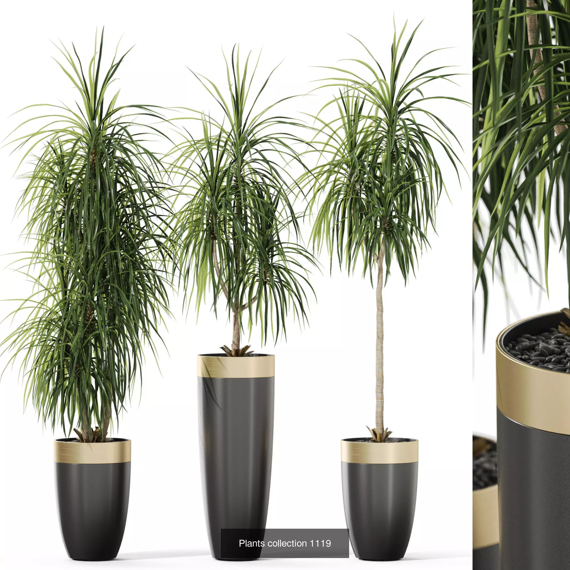 Plants collection vol 45 _6