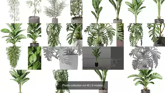 Plants collection vol 46