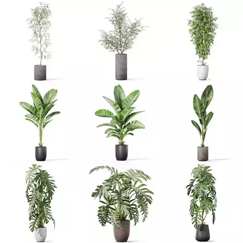 Plants collection vol 46 