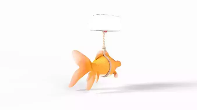 Orange gold fish bladder issue