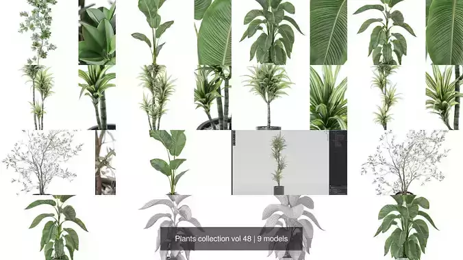 Plants collection vol 48