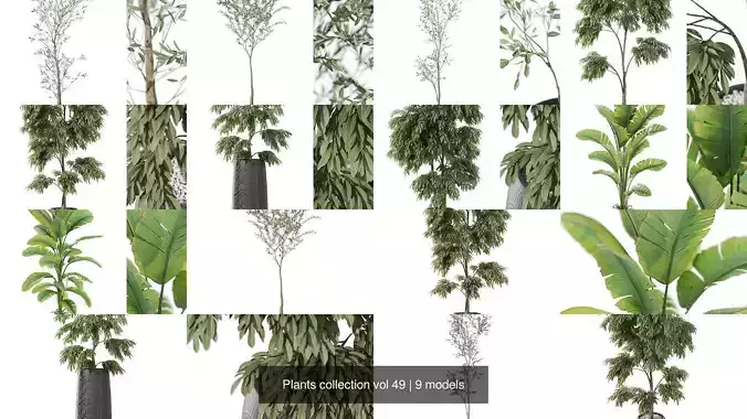 Plants collection vol 49