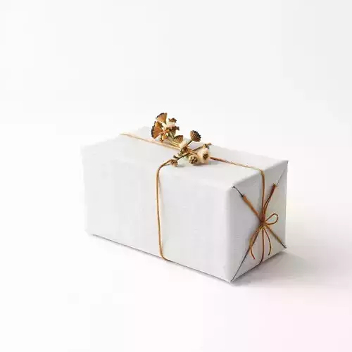 Elegant Gift Box Model Pack with Detailed Decoration
