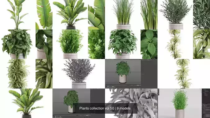 Plants collection vol 50