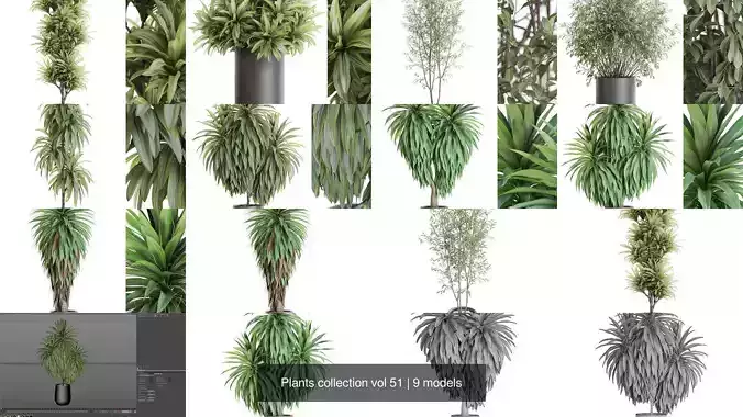 Plants collection vol 51