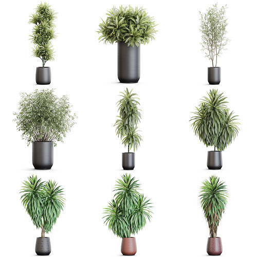 Plants collection vol 51 