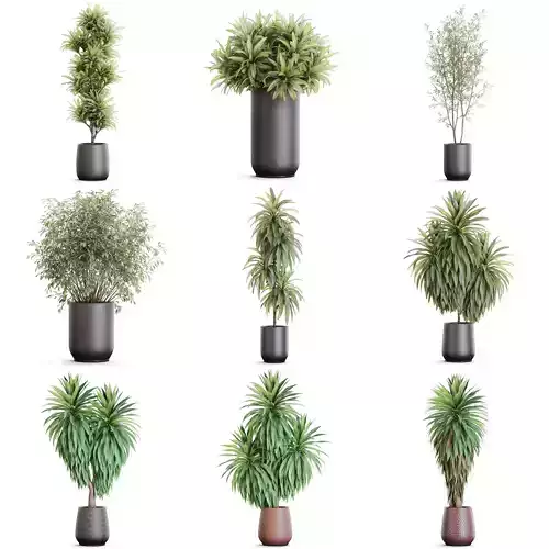 Plants collection vol 51