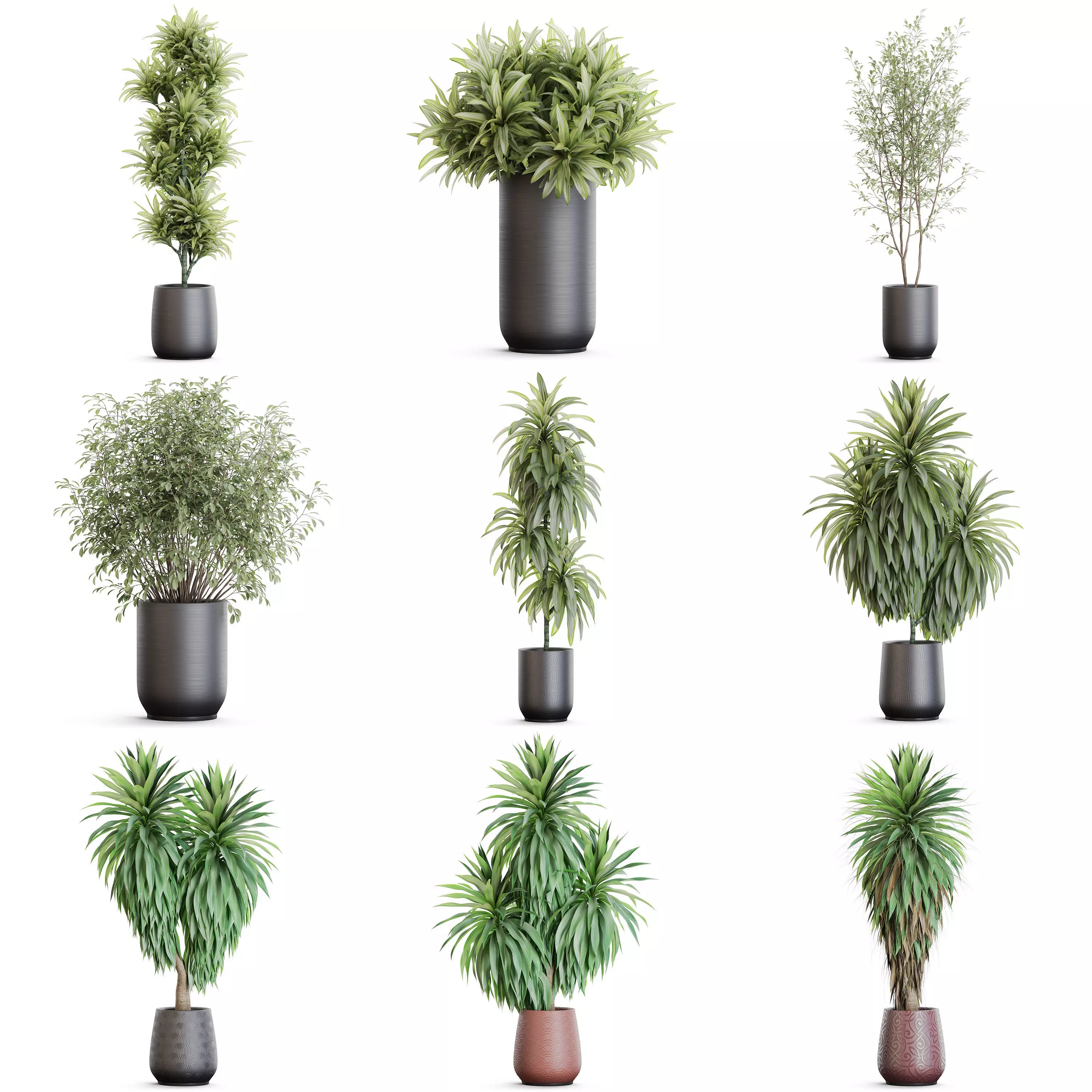 Plants collection vol 51 _0