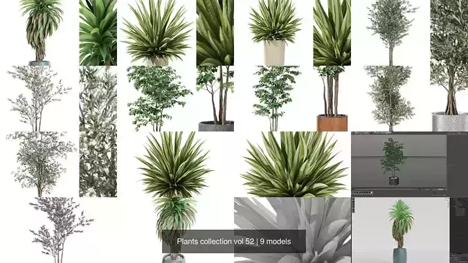 Plants collection vol 52
