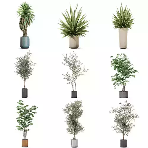 Plants collection vol 52 