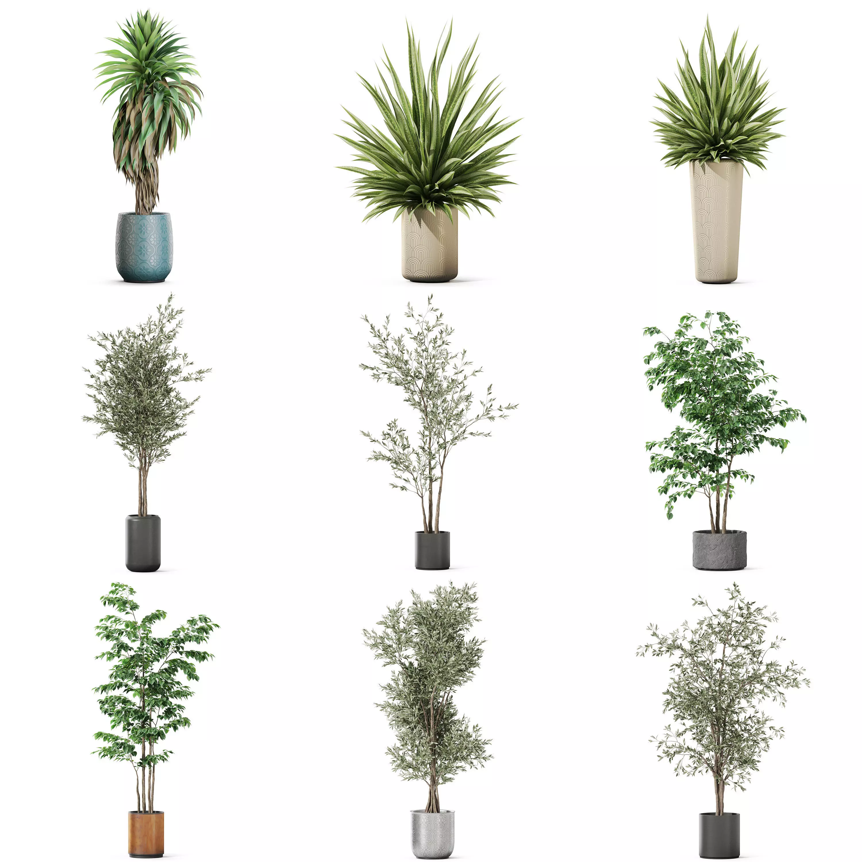 Plants collection vol 52 _0