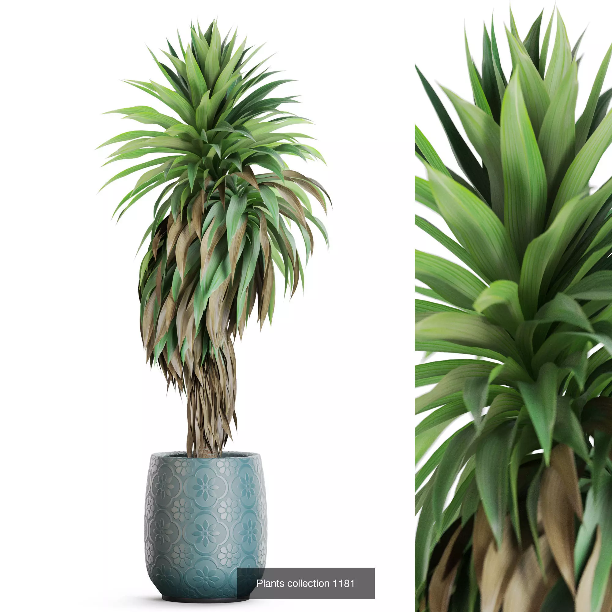 Plants collection vol 52 _2