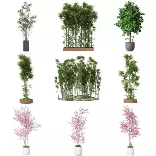 Plants collection vol 53 