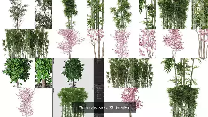 Plants collection vol 53