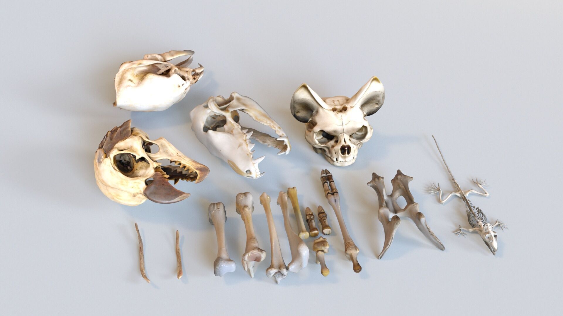 Game Ready Stylized Urban Trash  Waste Pack - 230 assets Low-poly 3D model_19