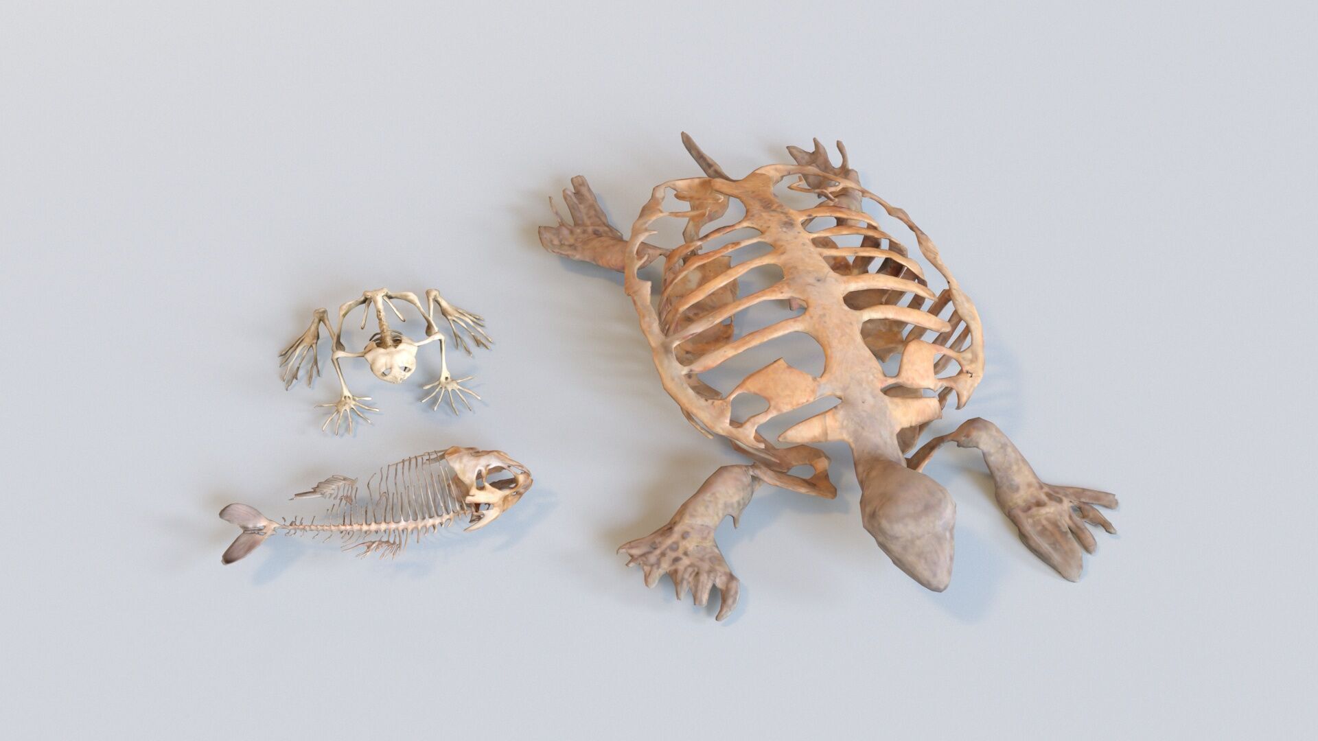 Game Ready Stylized Urban Trash  Waste Pack - 230 assets Low-poly 3D model_18