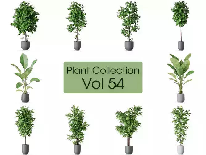 Plants collection vol 54 