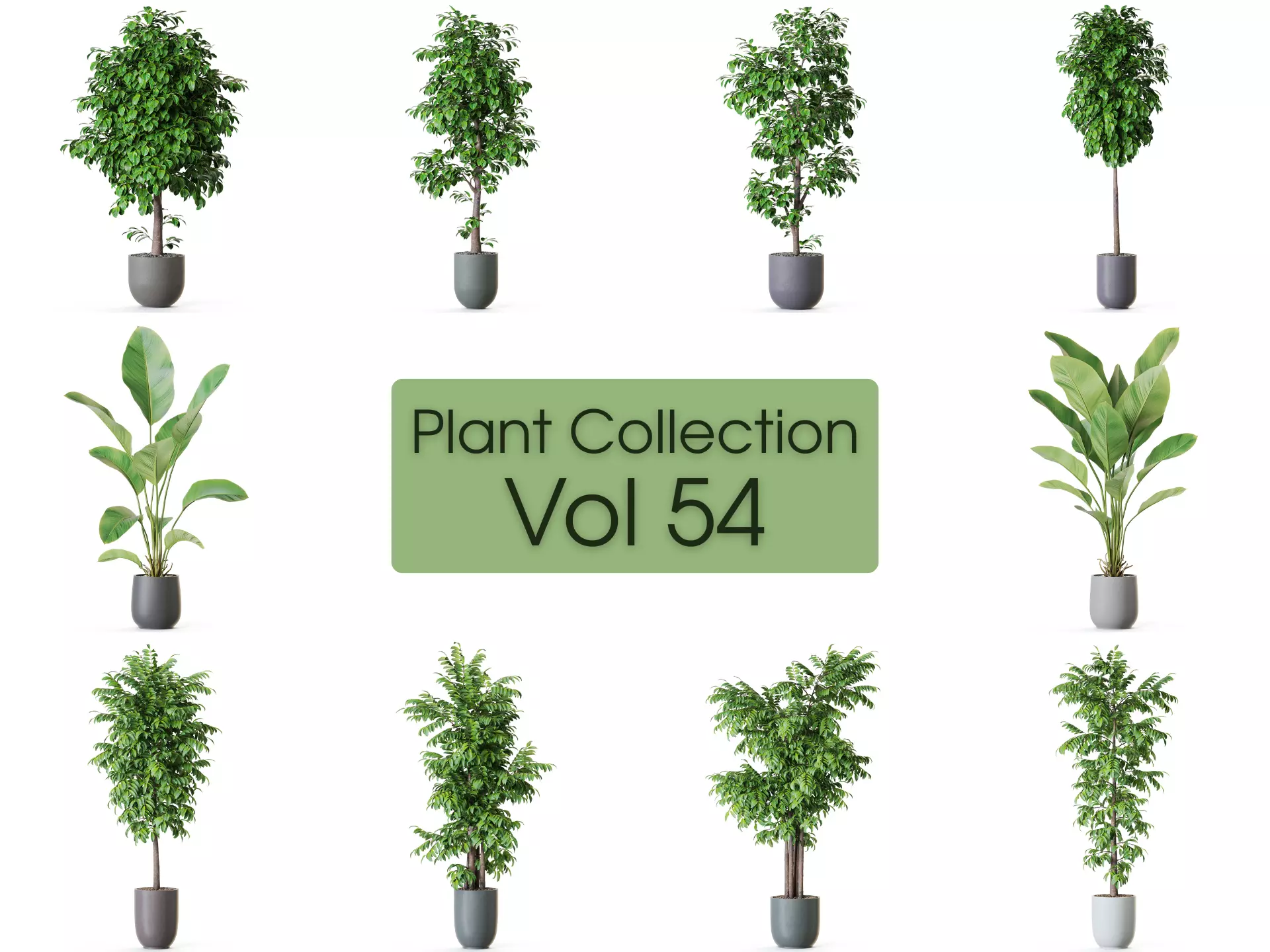 Plants collection vol 54 _0