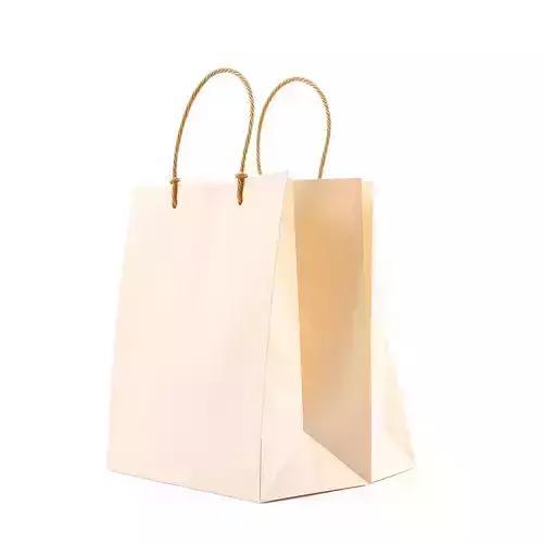 Elegant Shopping Bag D Model Pack