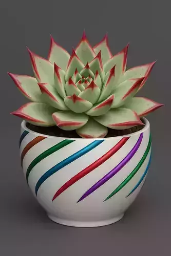 Spiral Pattern Succulent Planter 3D print model