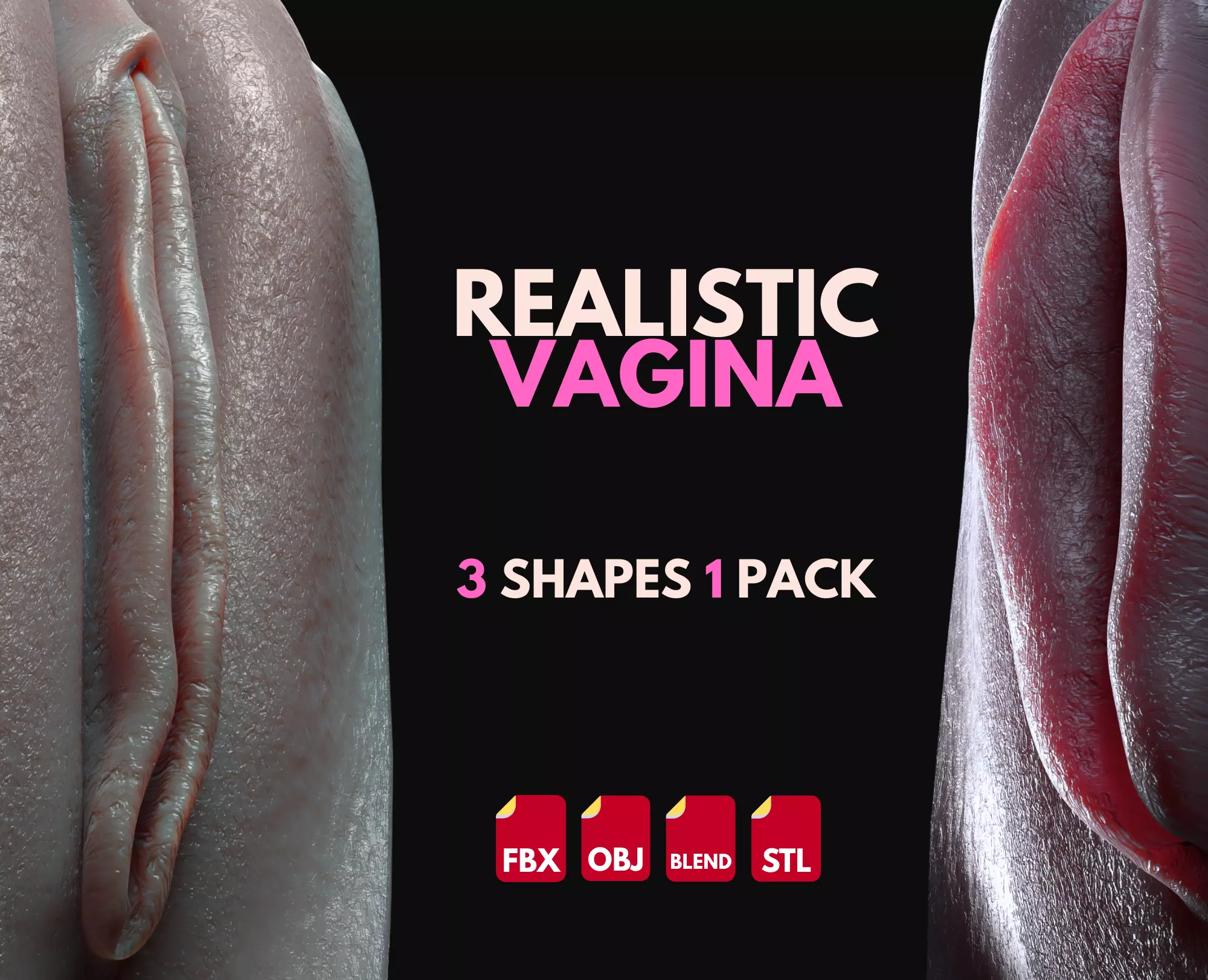Realistic Vagina Detailed and Photorealistic Pack of 3 Shapes Low-poly 3D model