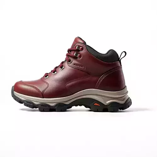 Rugged Hiking Boot D Model Pack Low-poly 3D model