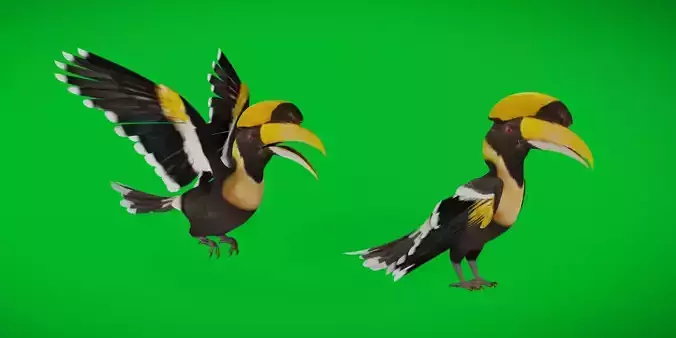 Great Hornbills Bird Low-poly 3D model