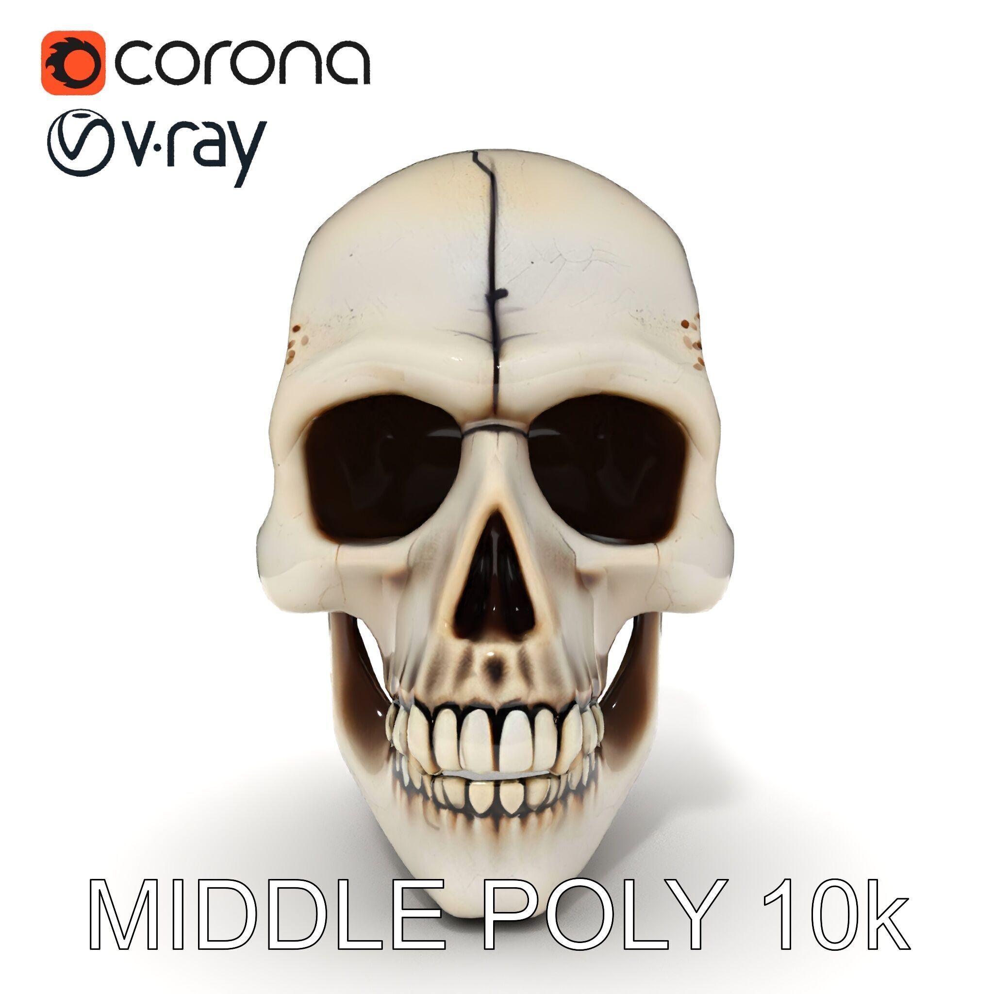 Human Skull Detailed Model Pack Low-poly 3D model_25