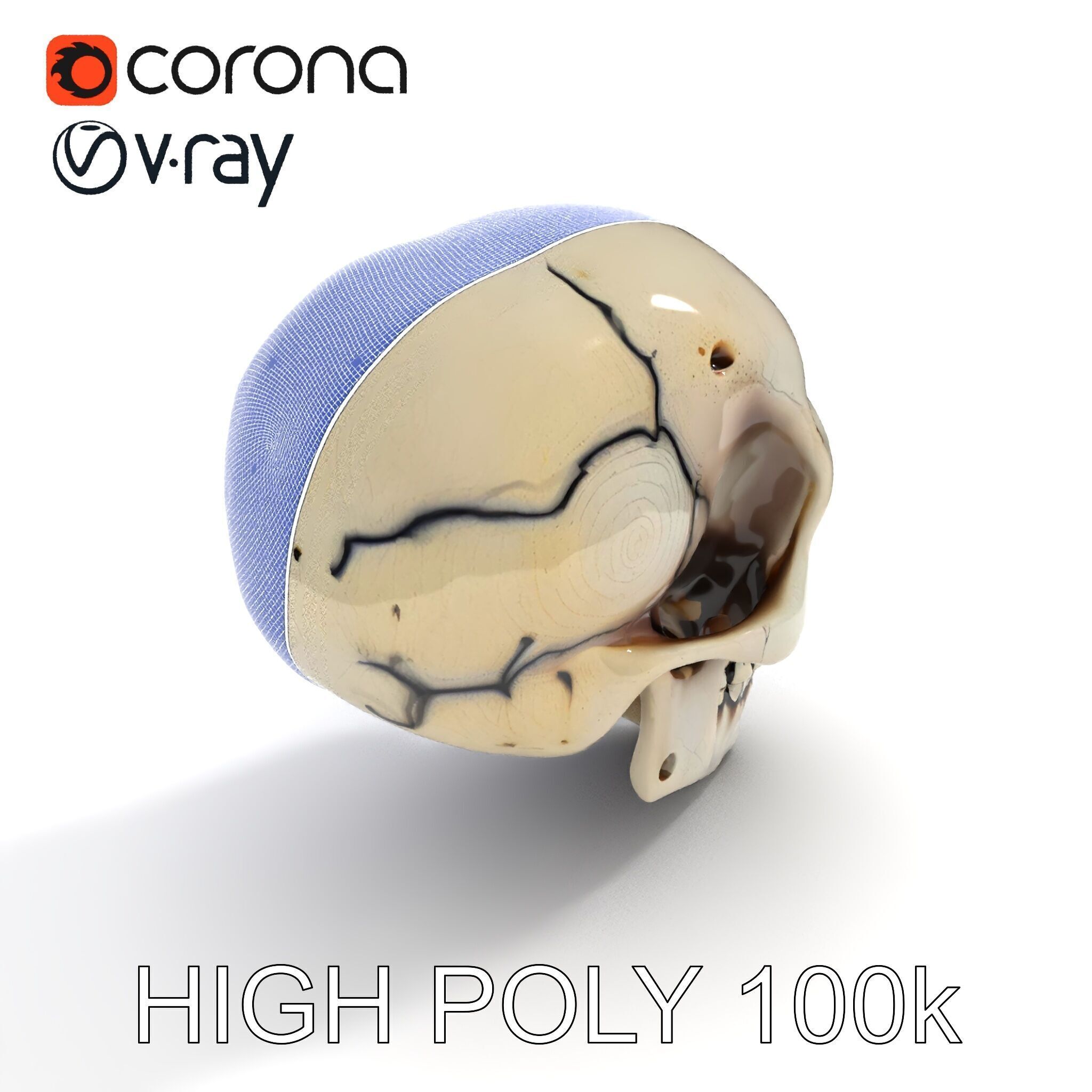 Human Skull Detailed Model Pack Low-poly 3D model_14