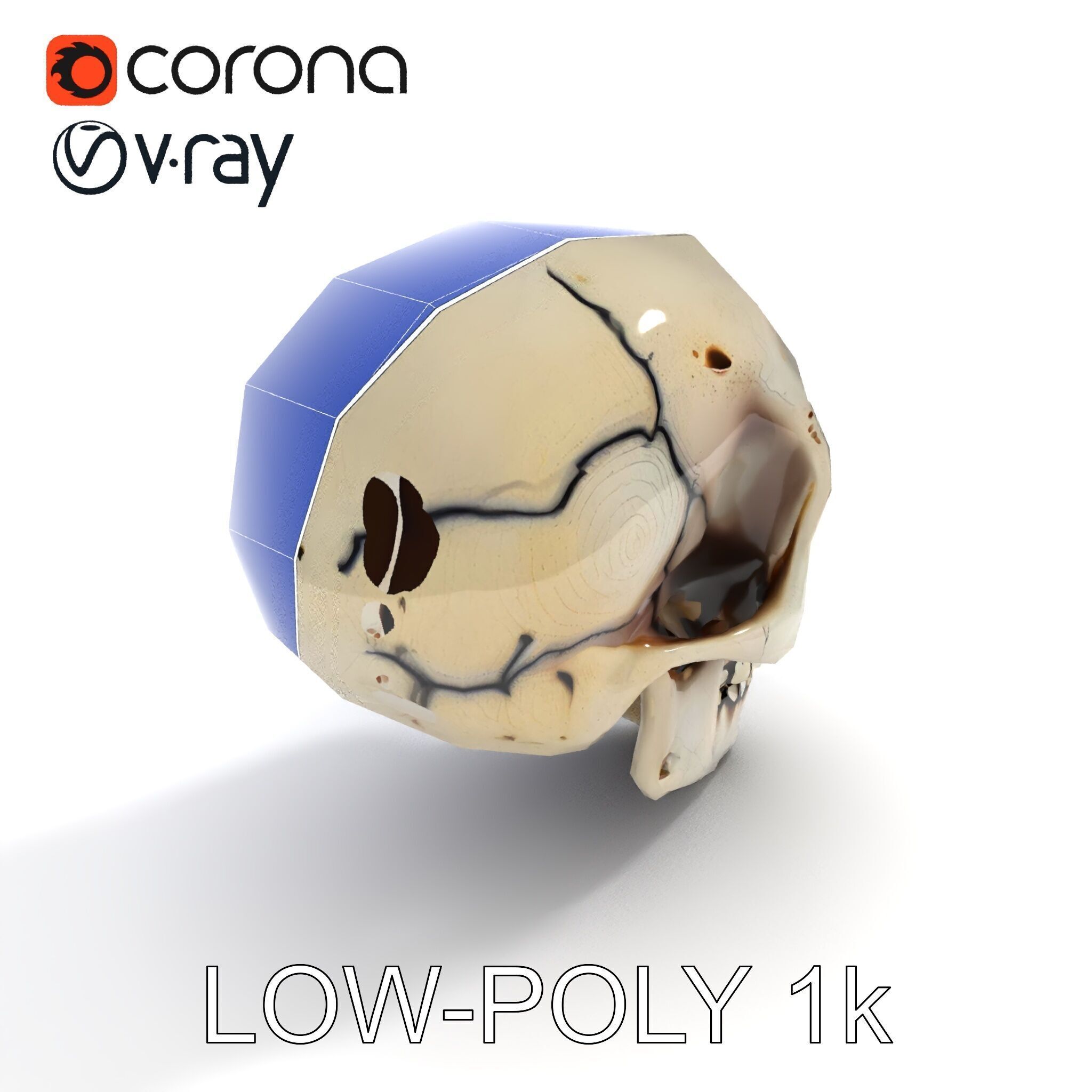 Human Skull Detailed Model Pack Low-poly 3D model_13