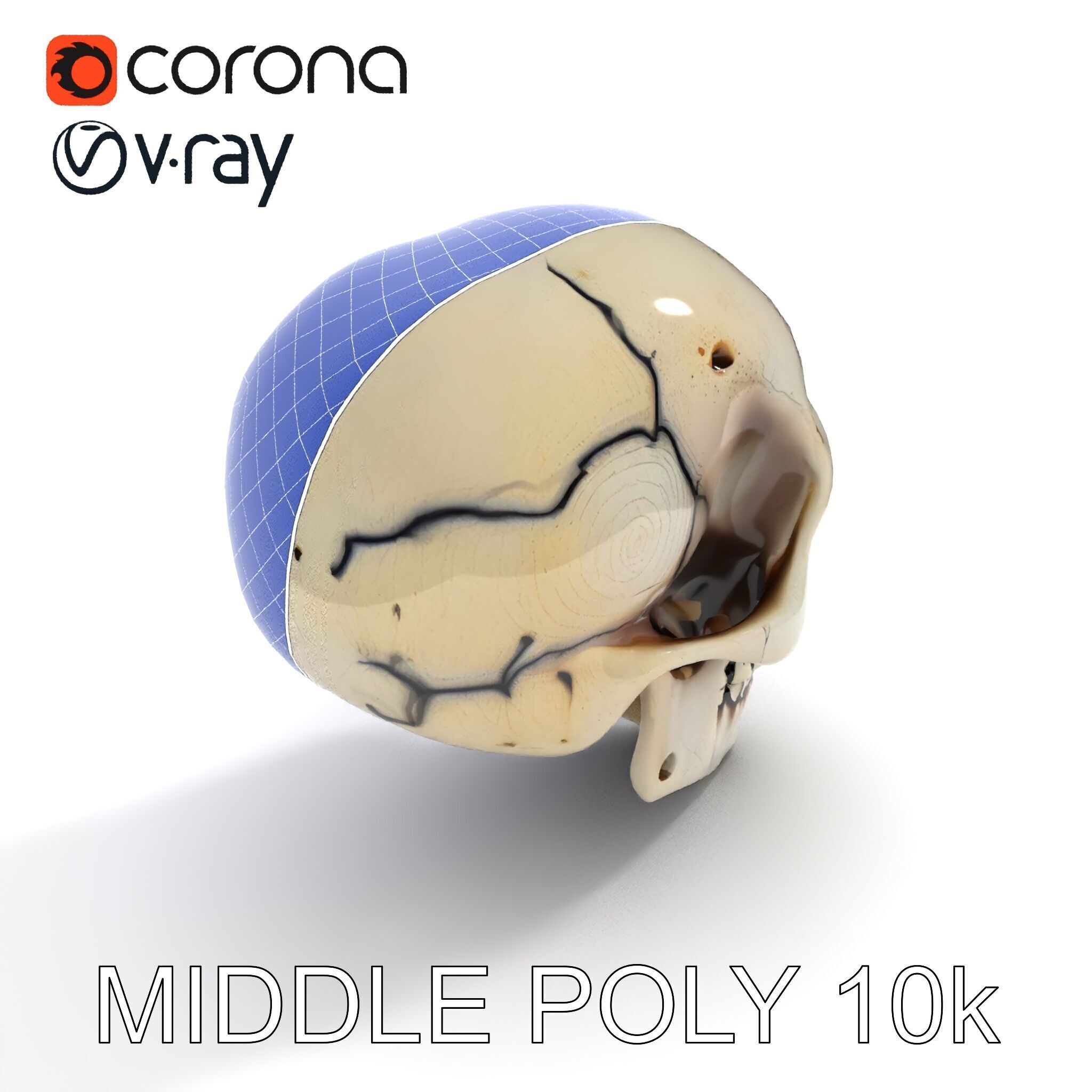Human Skull Detailed Model Pack Low-poly 3D model_33