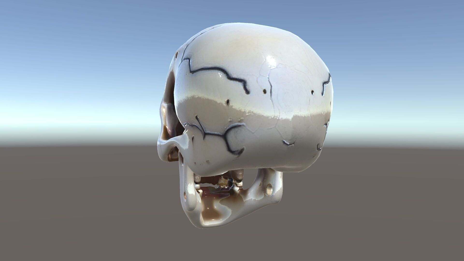 Human Skull Detailed Model Pack Low-poly 3D model_6