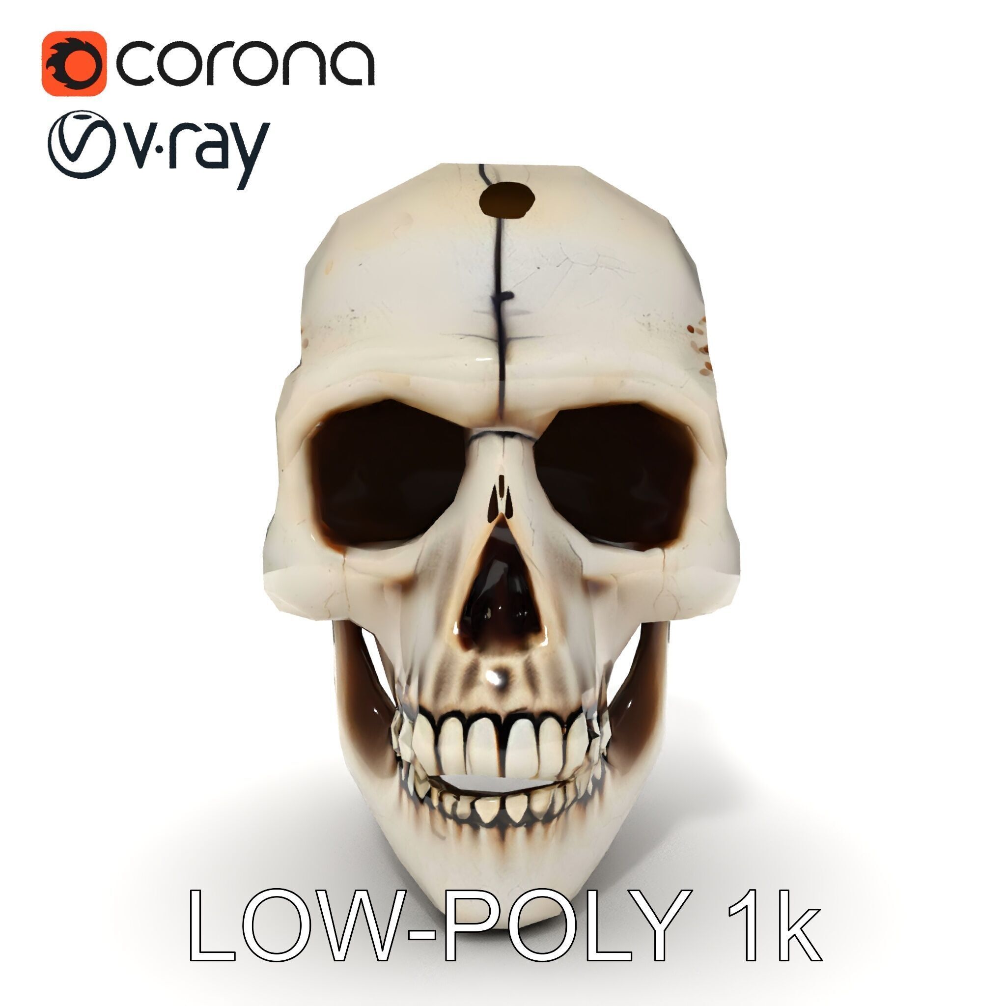 Human Skull Detailed Model Pack Low-poly 3D model_29
