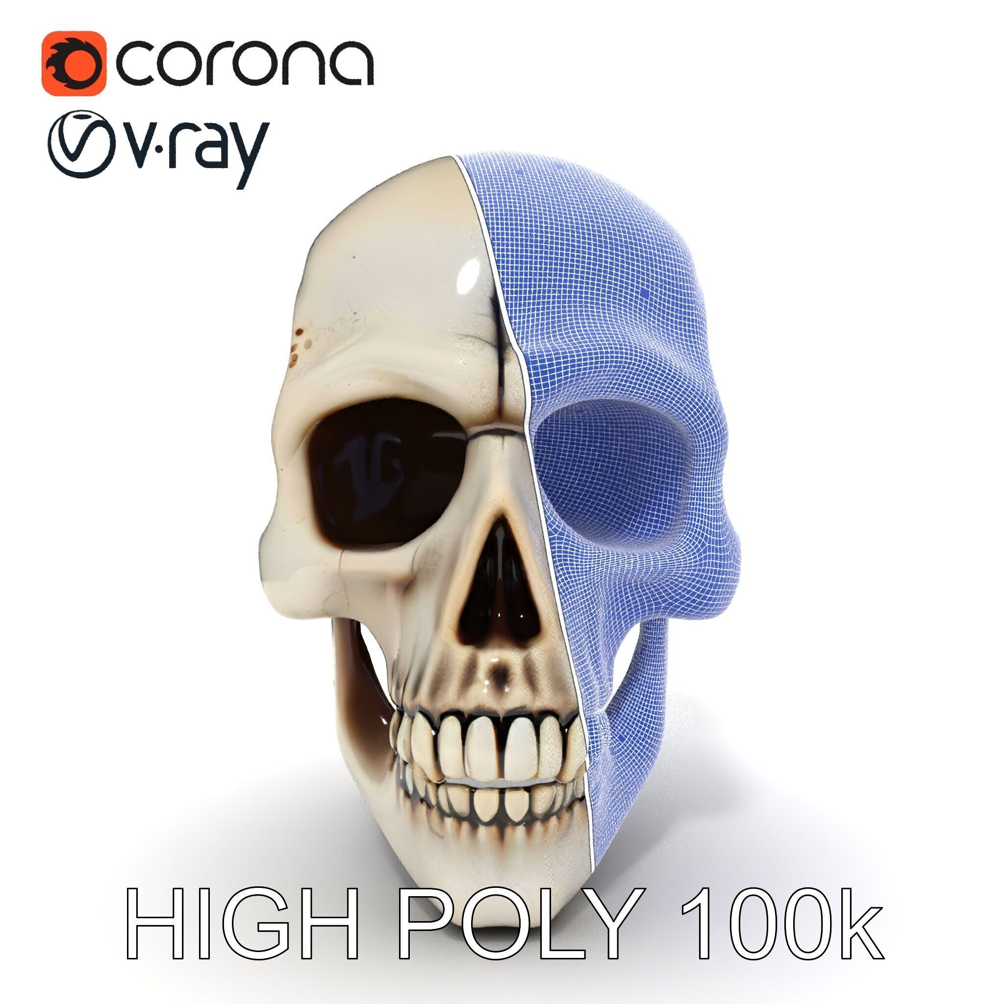 Human Skull Detailed Model Pack Low-poly 3D model_22